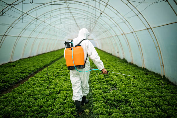 Best Pest Removal Services  in Fox Chapel, PA