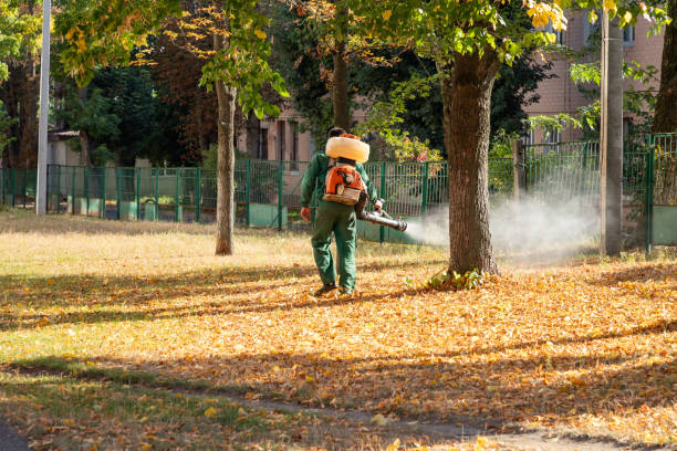Best Mosquito Control Services  in Fox Chapel, PA
