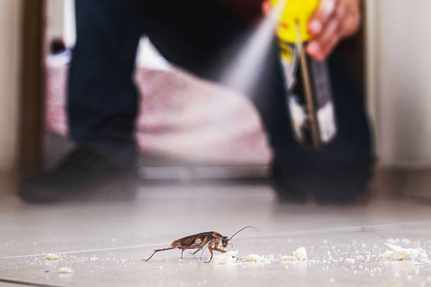 Pest Control Cost